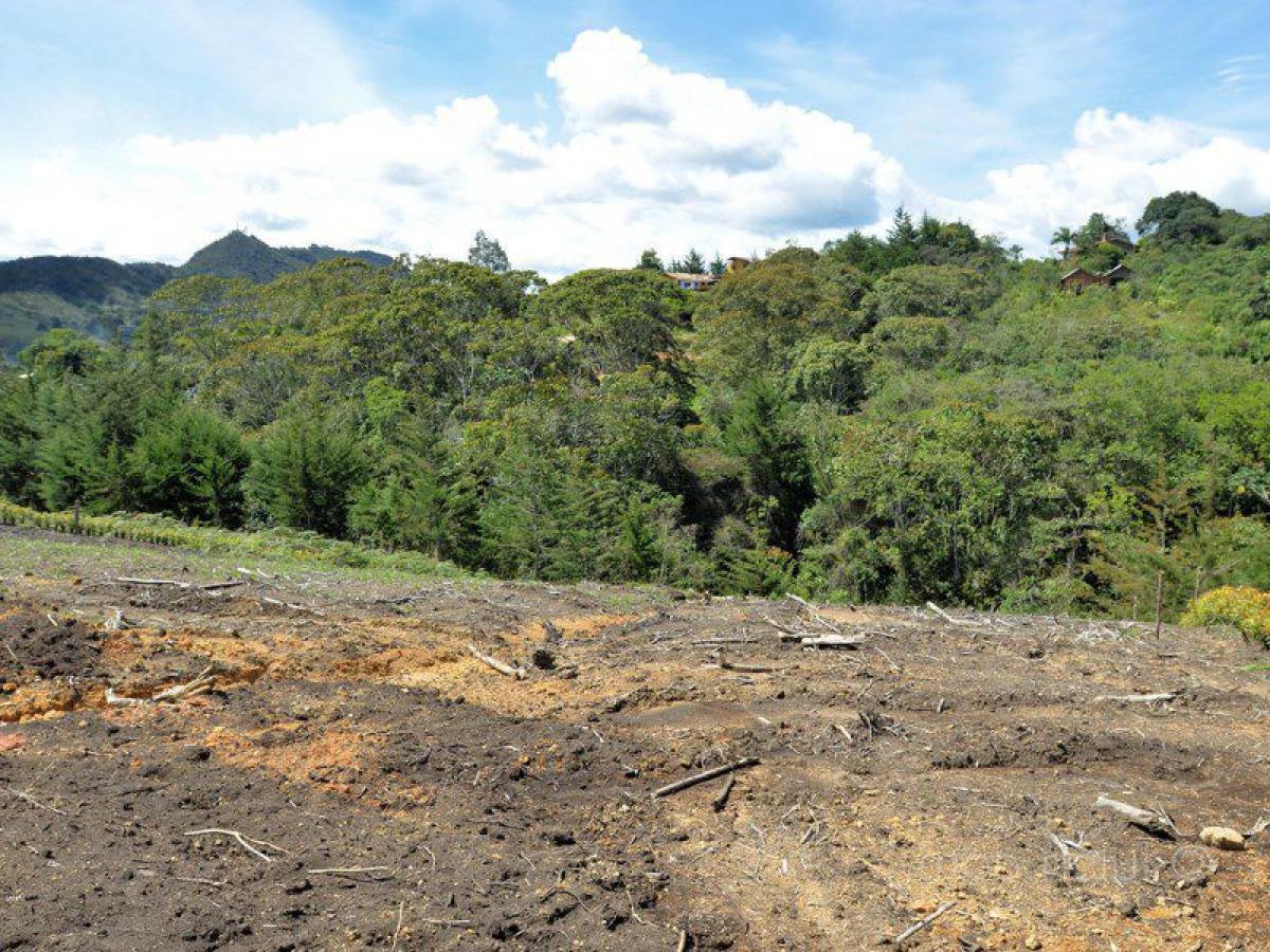  Land in Antioquia, Colombia No. 137