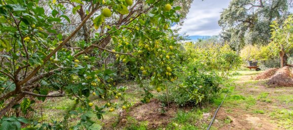 6 bedrooms House in Cadiz, Spain No. 29229 36