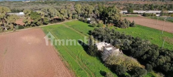 3 Schlafzimmer Haus in Carovigno, Italy, Nr. 345469 8