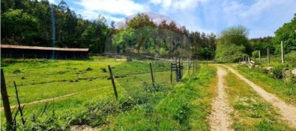 Grundstück in Vieira do Minho, Portugal, Nr. 190053 11