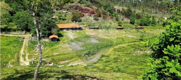 Grundstück in Vieira do Minho, Portugal, Nr. 190053 9