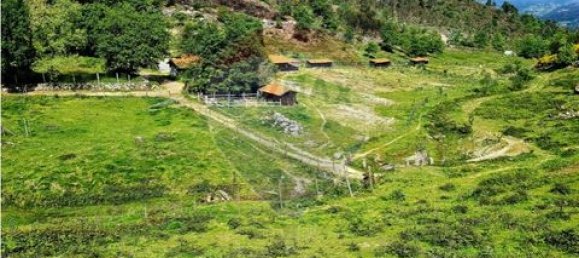 Grundstück in Vieira do Minho, Portugal, Nr. 190053 10