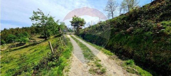 Grundstück in Vieira do Minho, Portugal, Nr. 190053 32