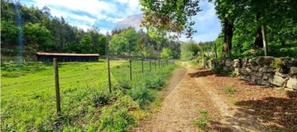 Grundstück in Vieira do Minho, Portugal, Nr. 190053 7