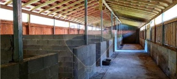 Grundstück in Vieira do Minho, Portugal, Nr. 190053 12