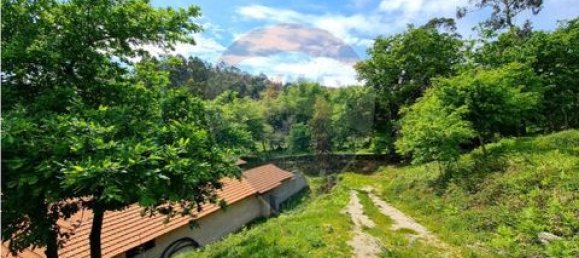 Grundstück in Vieira do Minho, Portugal, Nr. 190053 18