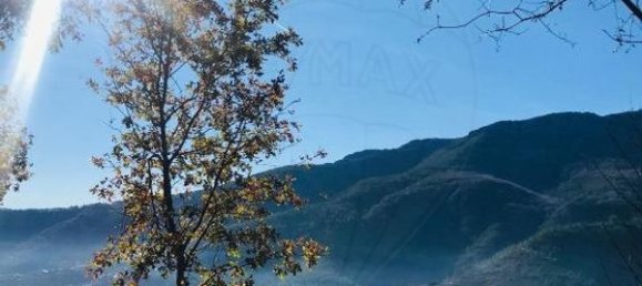 3 bedrooms House in Vila Real, Portugal No. 166835 6