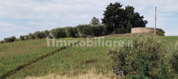 4 bedrooms House in Monteprandone, Italy No. 147486 25