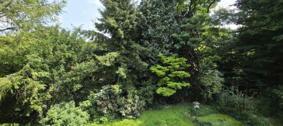 3-Zimmer Wohnung in Burscheid, Germany, Nr. 274461 20