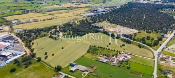  Land in Moita, Portugal No. 138483 6