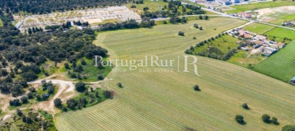  Land in Moita, Portugal No. 138483 17