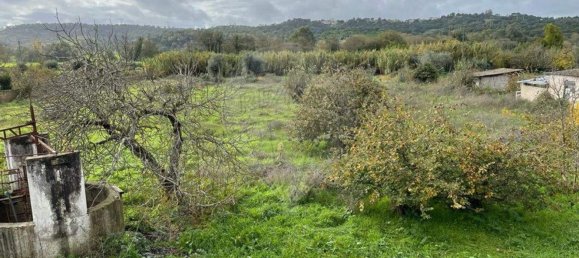 1 chambre Maison à Abrantes, Portugal No. 15961 5