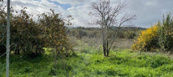 1 chambre Maison à Abrantes, Portugal No. 15961 19