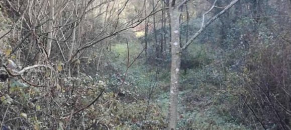 Gewerbliche Immobilie in Castelfranco Piandiscò, Italy 1260m², Nr. 294378 3