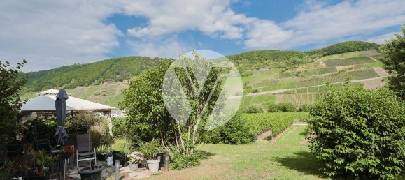 4 bedrooms Building in Bernkastel-Wittlich, Germany No. 360975 5