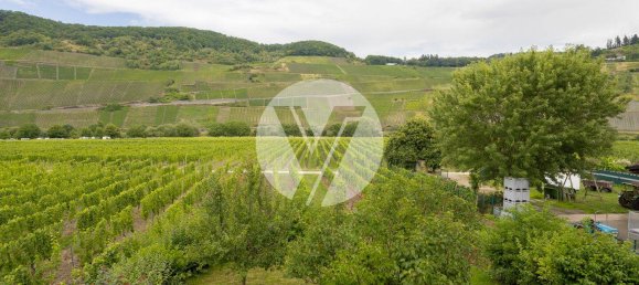 4 bedrooms Building in Bernkastel-Wittlich, Germany No. 360975 4