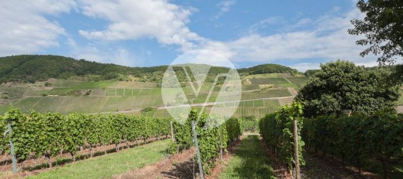 4 bedrooms Building in Bernkastel-Wittlich, Germany No. 360975 7