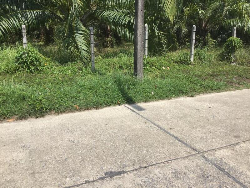 9108m² Commercial property in Khok Kloi, Thailand No. 8277