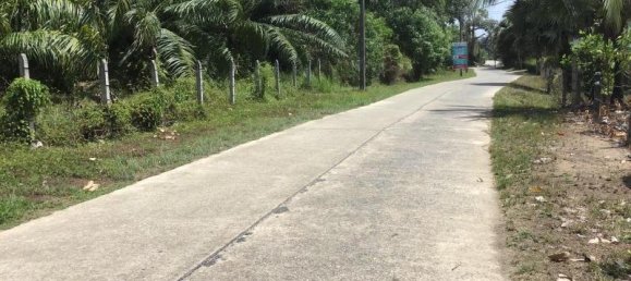 9108m² Commercial property in Khok Kloi, Thailand No. 8277 3