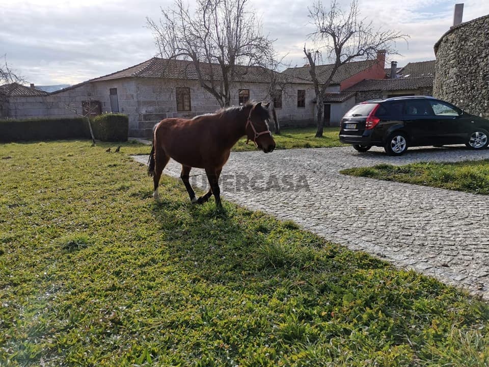 5 bedrooms House in Chaves, Portugal No. 245006