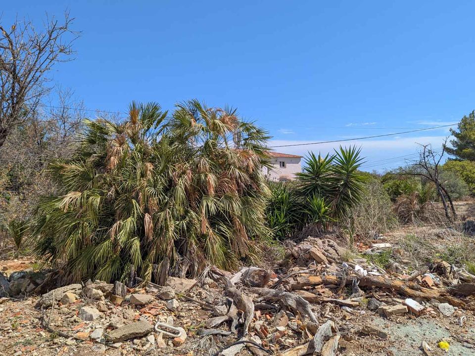 Terrain à Denia, Spain No. 278310