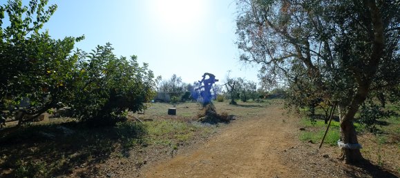 Villa de 4 dormitorios en Sannicola, Italy No. 231381 3