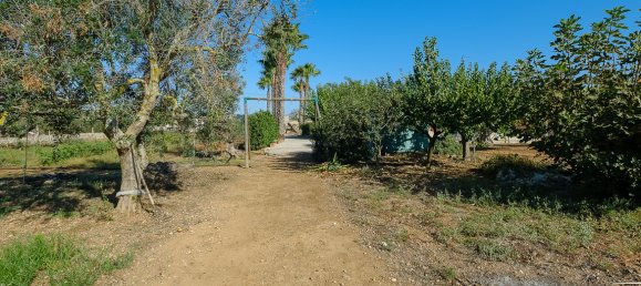 Villa de 4 dormitorios en Sannicola, Italy No. 231381 5