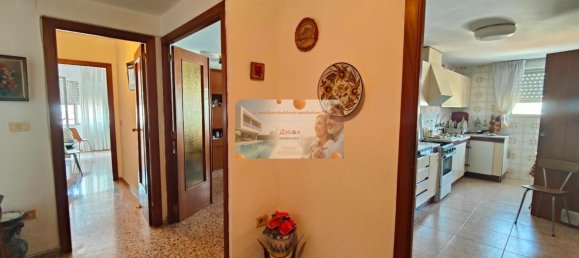 5 bedrooms Apartment in Castellon de la Plana, Spain No. 156685 12