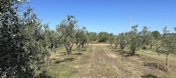 قطعة أرض في Gavorrano, Italy 9425متر مربع رقم 142704 6