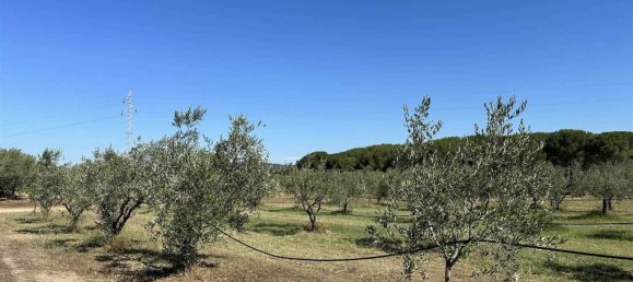 قطعة أرض في Gavorrano, Italy 9425متر مربع رقم 142704 10