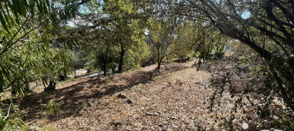 Grundstück in La Gaude, France, Nr. 192029 3