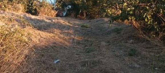  قطعة أرض في San Cataldo, Italy 20000متر مربع رقم 309657 4