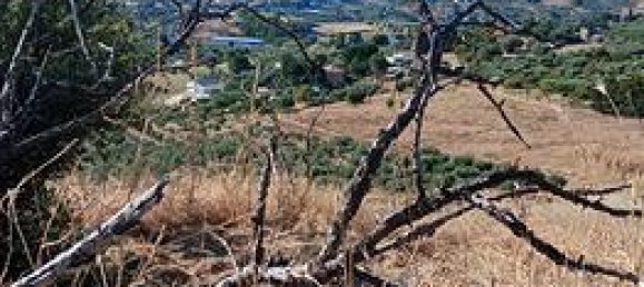  قطعة أرض في San Cataldo, Italy 20000متر مربع رقم 309657 6