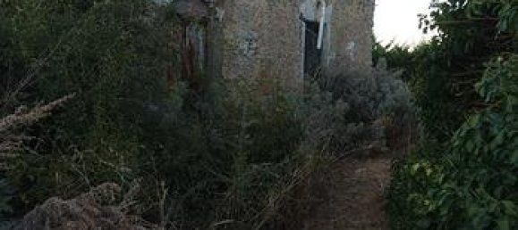  قطعة أرض في San Cataldo, Italy 20000متر مربع رقم 309657 2