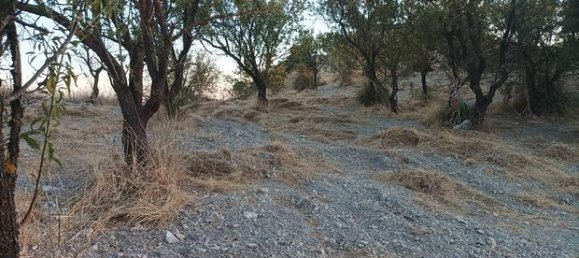  قطعة أرض في San Cataldo, Italy 20000متر مربع رقم 309657 3