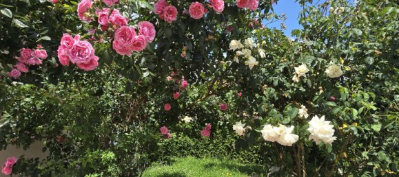 4 bedrooms House in Kaiserslautern, Germany No. 178842 8