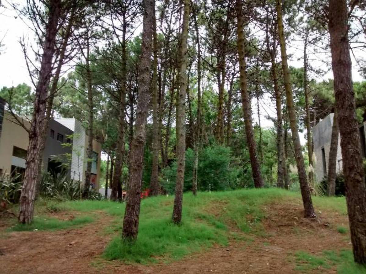  قطعة أرض في Mar del Plata, Argentina رقم 115622