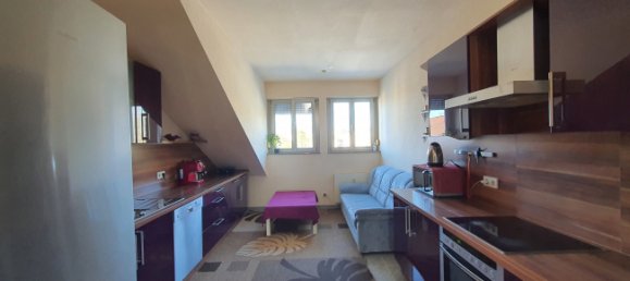 2 bedrooms Apartment in Rastatt, Germany No. 70452 13