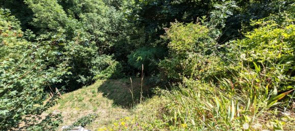 3 chambres Maison à Le Cheylard, France No. 200115 12