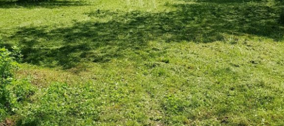  Land in Weinitzen, Austria No. 198311 2