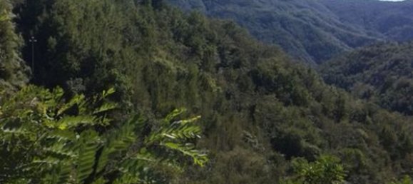 Дом с 10 комнатами в Личчана Нарди, Италия № 102089 26