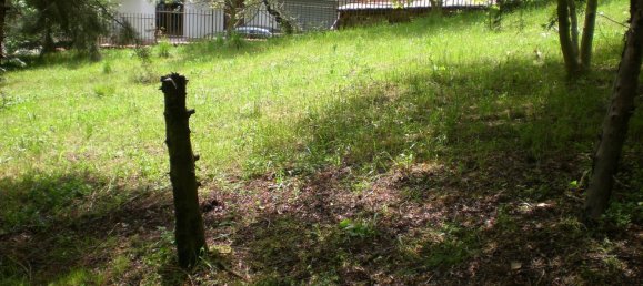 7غرفة منزل في Marano Principato, Italy رقم 171640 21