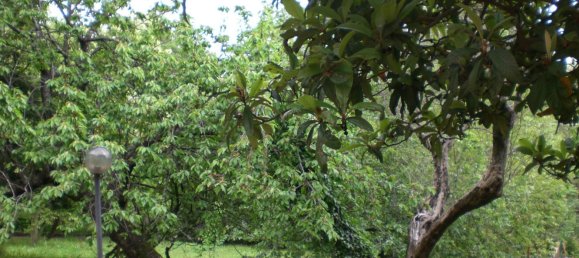 7غرفة منزل في Marano Principato, Italy رقم 171640 20