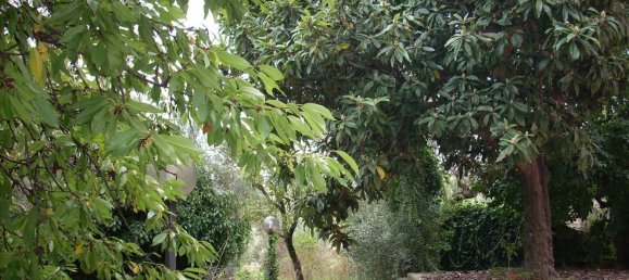 7غرفة منزل في Marano Principato, Italy رقم 171640 14