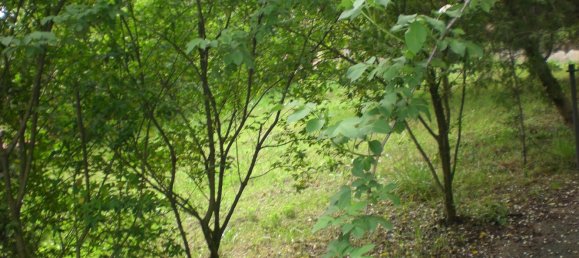 7غرفة منزل في Marano Principato, Italy رقم 171640 10