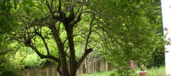 7غرفة منزل في Marano Principato, Italy رقم 171640 9