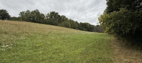 Ферма с 3 спальнями в Херсфельд-Ротенбург, Германия № 341994 12