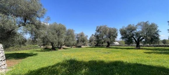 1 Schlafzimmer Haus in Ceglie Messapica, Italy, Nr. 62185 18