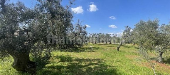 1 Schlafzimmer Haus in Ceglie Messapica, Italy, Nr. 62185 10