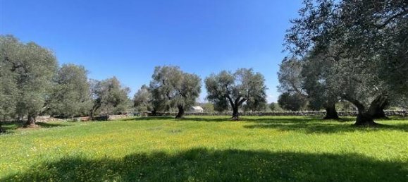 1 Schlafzimmer Haus in Ceglie Messapica, Italy, Nr. 62185 17